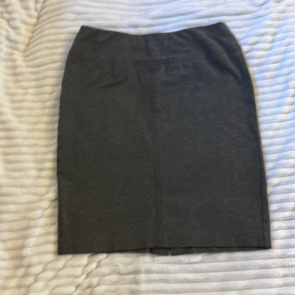 Ann Taylor Pencil Skirt